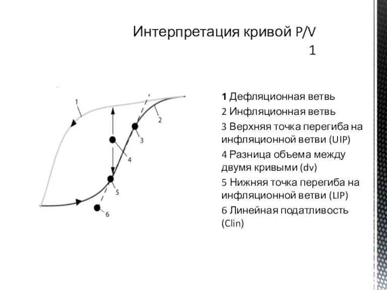 Интерпретация кривой P/V 1 1 Дефляционная ветвь 2 Инфляционная ветвь 3 Верхняя