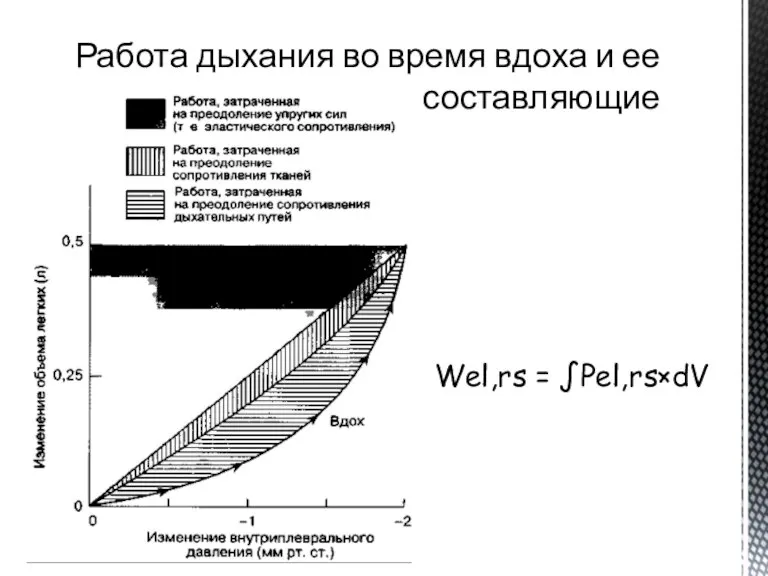 Работа дыхания во время вдоха и ее составляющие Wel,rs = ∫Pel,rs×dV