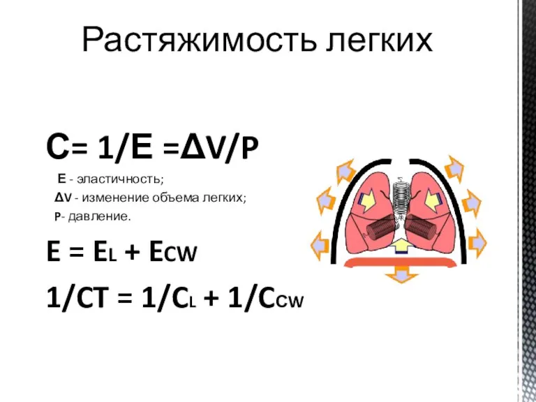 С= 1/Е =ΔV/P Е - эластичность; ΔV - изменение объема легких; P-