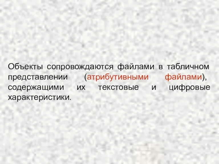 Объекты сопровождаются файлами в табличном представлении (атрибутивными файлами), содержащими их текстовые и цифровые характеристики.