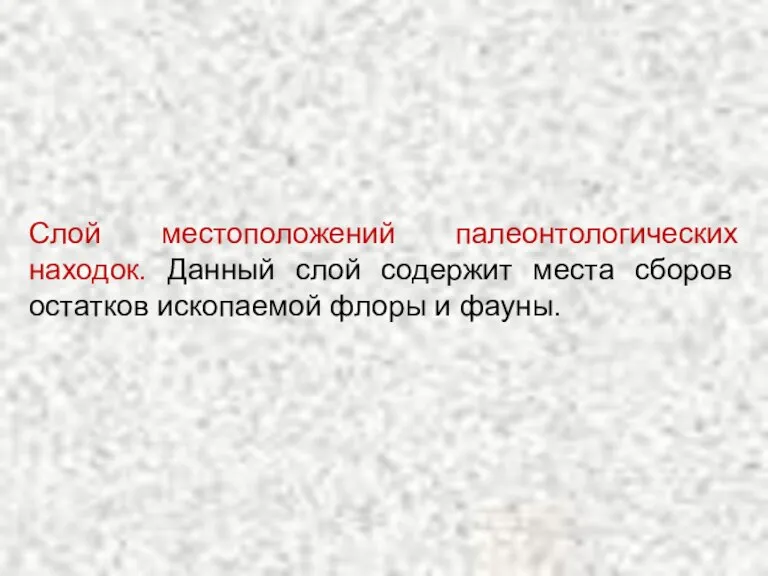 Слой местоположений палеонтологических находок. Данный слой содержит места сборов остатков ископаемой флоры и фауны.