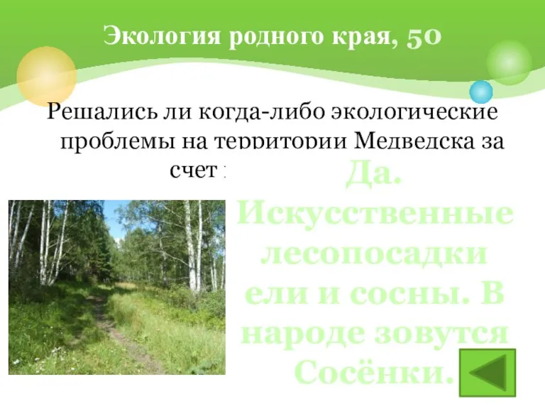 Решались ли когда-либо экологические проблемы на территории Медведска за счет посадки лесов?