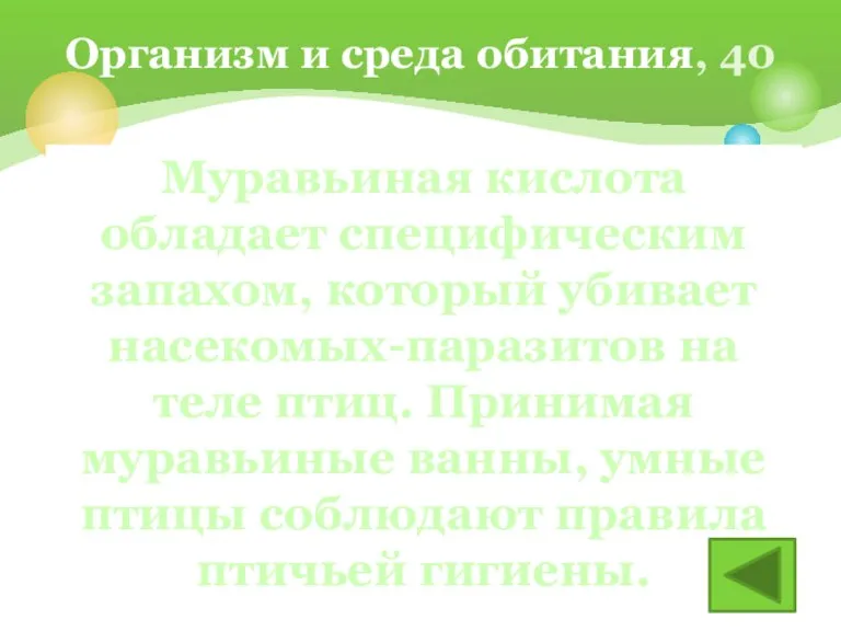 Для чего дрозды, трясогузки, оляпки, скворцы и другие хитрые птицы садятся на