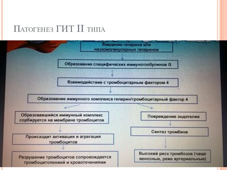 Патогенез ГИТ II типа