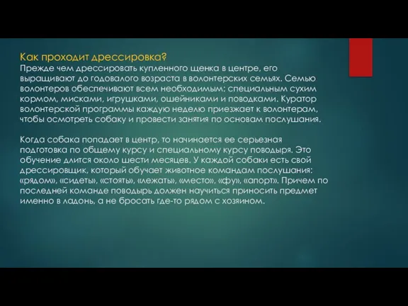 Как проходит дрессировка? Прежде чем дрессировать купленного щенка в центре, его выращивают