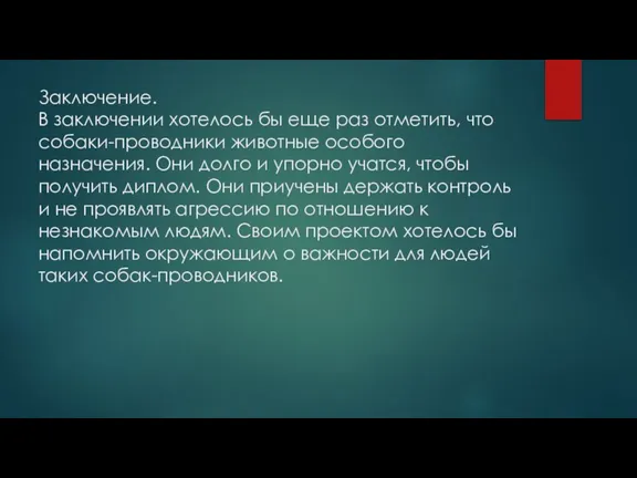 Заключение. В заключении хотелось бы еще раз отметить, что собаки-проводники животные особого