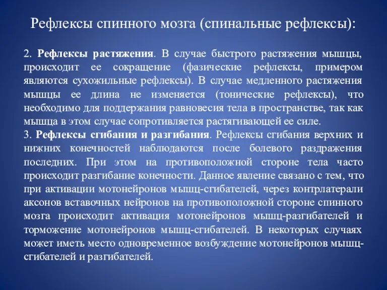 Рефлексы спинного мозга (спинальные рефлексы): 2. Рефлексы растяжения. В случае быстрого растяжения