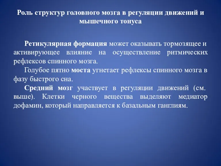 Роль структур головного мозга в регуляции движений и мышечного тонуса Ретикулярная формация