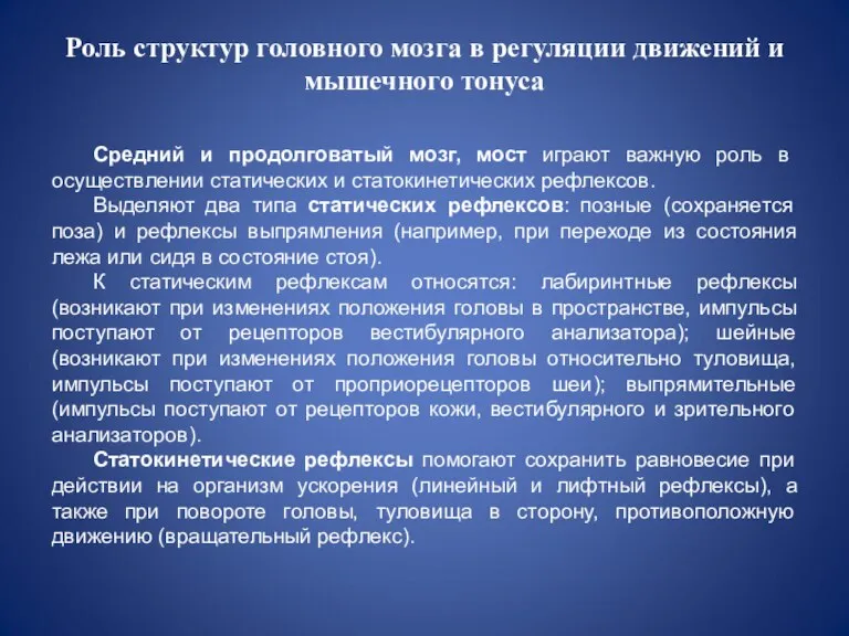 Роль структур головного мозга в регуляции движений и мышечного тонуса Средний и