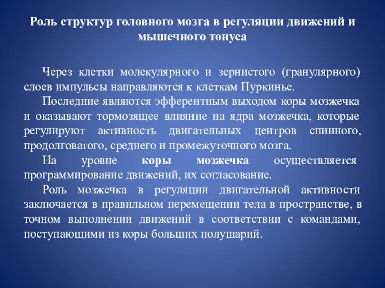 Роль структур головного мозга в регуляции движений и мышечного тонуса Через клетки