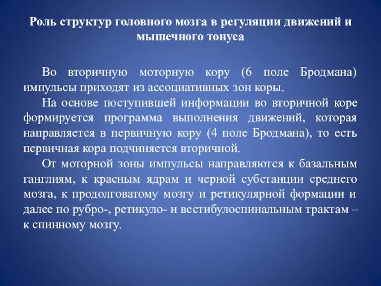 Роль структур головного мозга в регуляции движений и мышечного тонуса Во вторичную