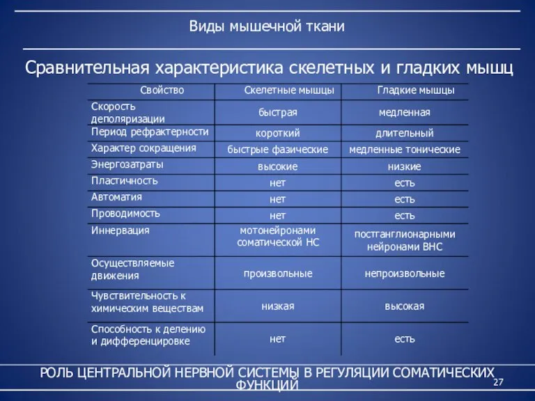 Виды мышечной ткани РОЛЬ ЦЕНТРАЛЬНОЙ НЕРВНОЙ СИСТЕМЫ В РЕГУЛЯЦИИ СОМАТИЧЕСКИХ ФУНКЦИЙ Сравнительная