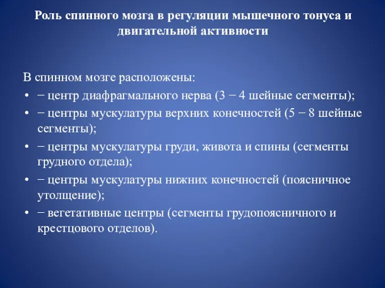 Роль спинного мозга в регуляции мышечного тонуса и двигательной активности В спинном