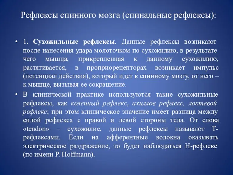 Рефлексы спинного мозга (спинальные рефлексы): 1. Сухожильные рефлексы. Данные рефлексы возникают после