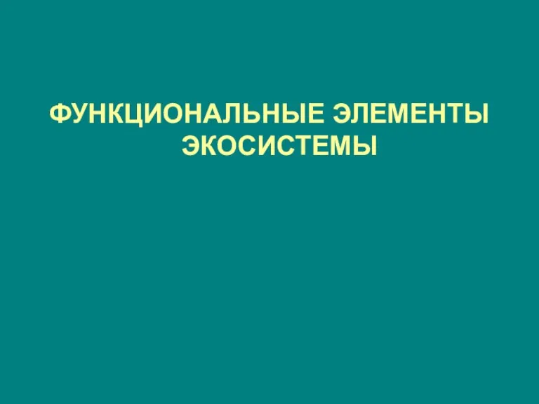 ФУНКЦИОНАЛЬНЫЕ ЭЛЕМЕНТЫ ЭКОСИСТЕМЫ