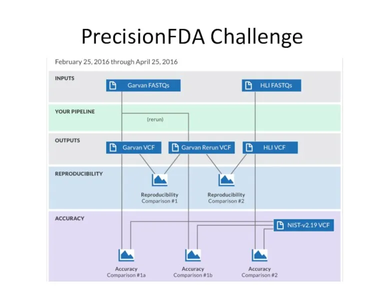 PrecisionFDA Challenge