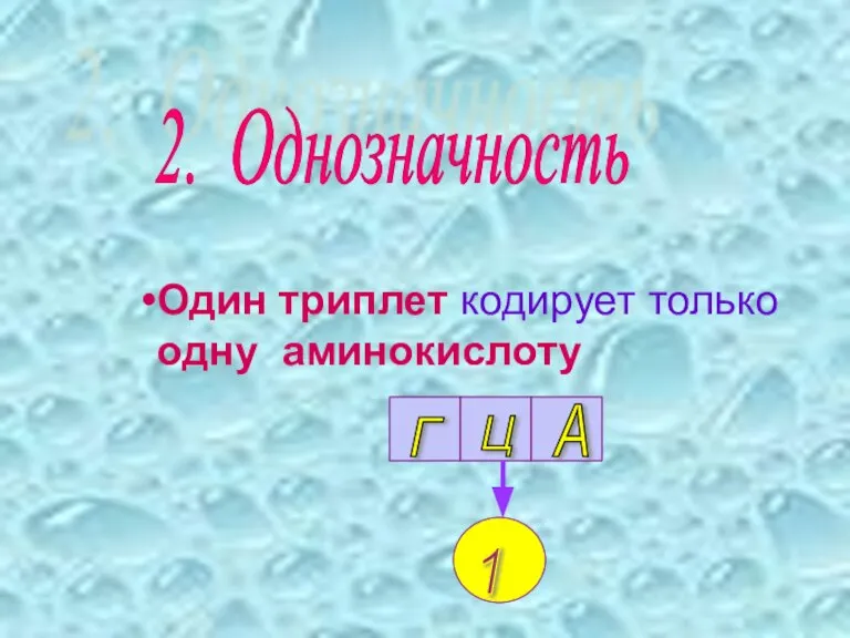 2. Однозначность Один триплет кодирует только одну аминокислоту Г Ц А 1