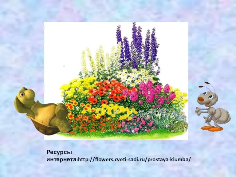 Ресурсы интернета:http://flowers.cveti-sadi.ru/prostaya-klumba/