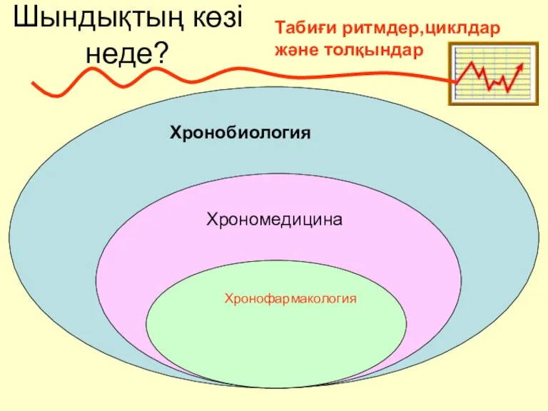 Шындықтың көзі неде? Хронобиология Хрономедицина Хронофармакология Табиғи ритмдер,циклдар және толқындар