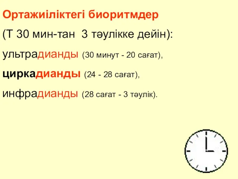 Ортажиіліктегі биоритмдер (Т 30 мин-тан 3 тәулікке дейін): ультрадианды (30 минут -