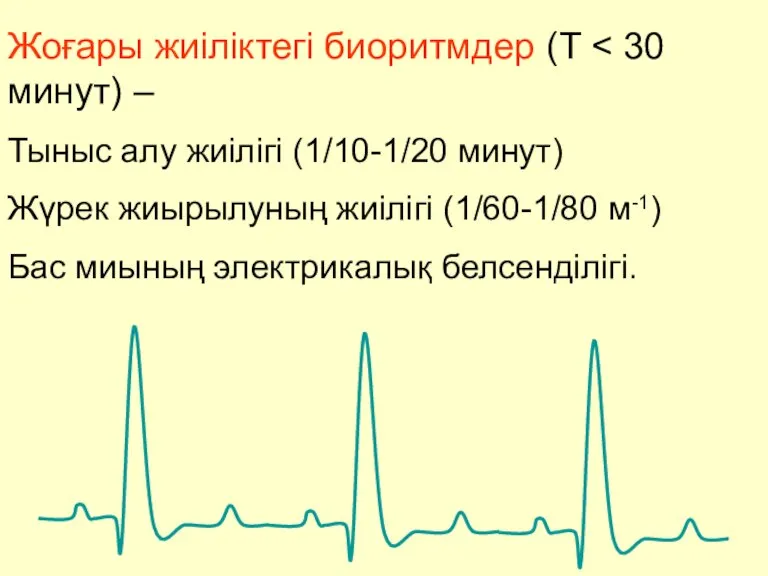 Жоғары жиіліктегі биоритмдер (T Тыныс алу жиілігі (1/10-1/20 минут) Жүрек жиырылуның жиілігі