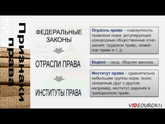 Федеральные законы Признаки права Системность Системность: согласованность различных правовых норм, их непротиворечивость.