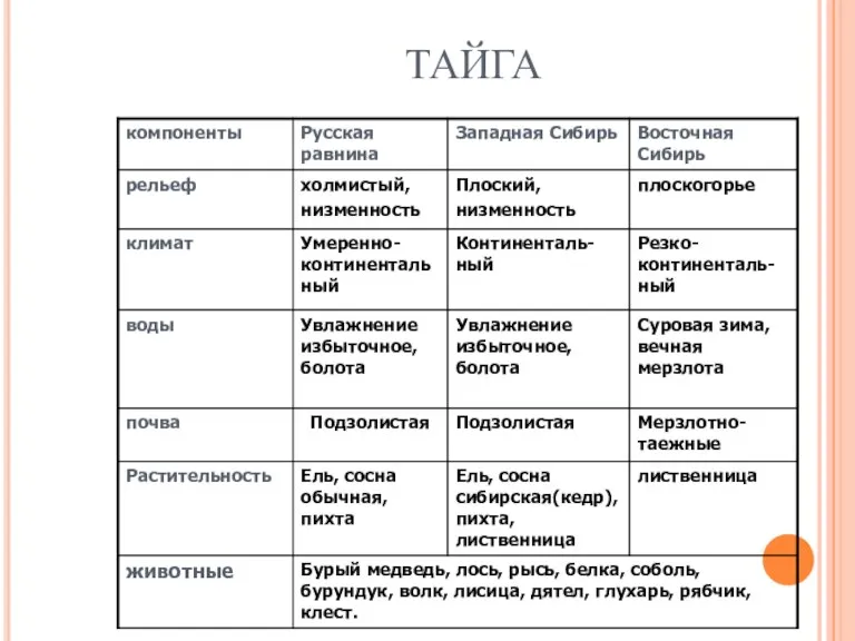 ТАЙГА