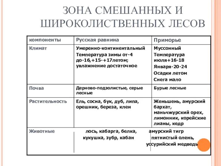 ЗОНА СМЕШАННЫХ И ШИРОКОЛИСТВЕННЫХ ЛЕСОВ