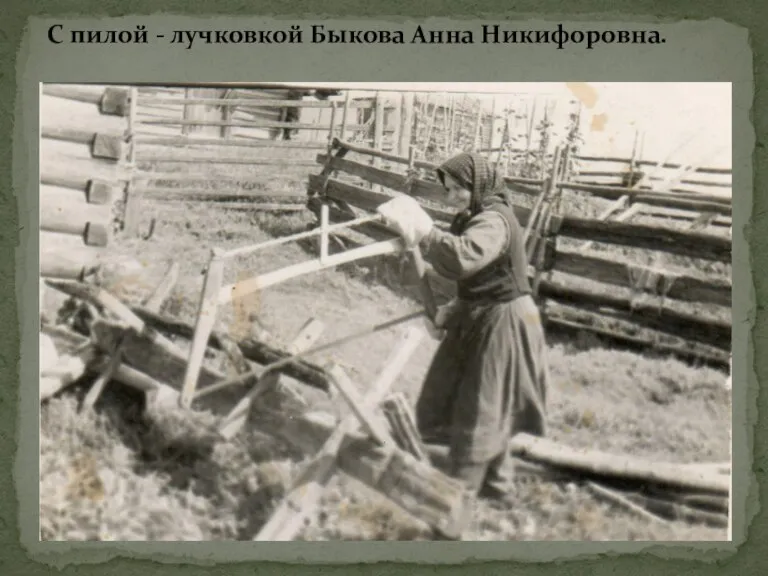 С пилой - лучковкой Быкова Анна Никифоровна.