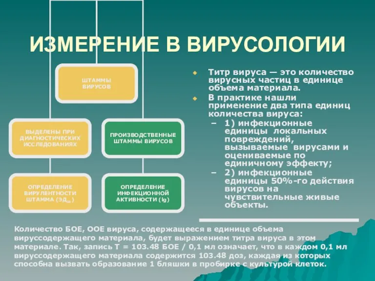 ИЗМЕРЕНИЕ В ВИРУСОЛОГИИ Титр вируса — это количество вирусных частиц в единице