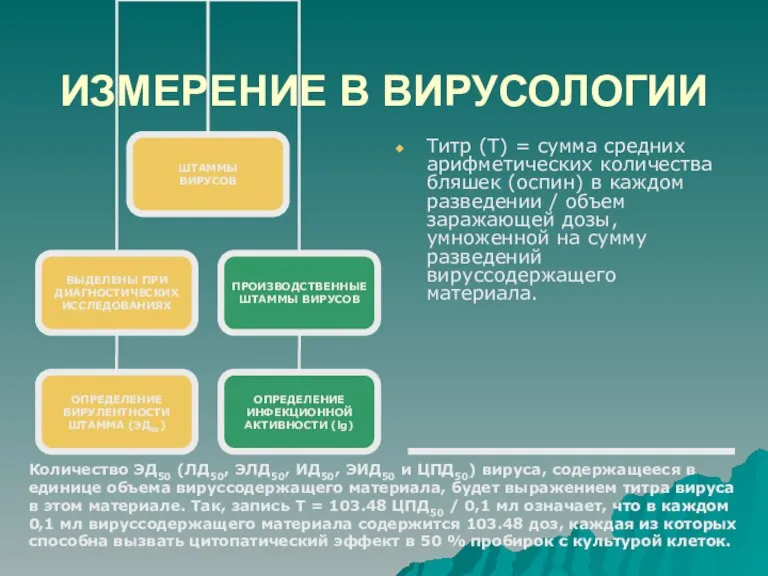 ИЗМЕРЕНИЕ В ВИРУСОЛОГИИ Титр (Т) = сумма средних арифметических количества бляшек (оспин)