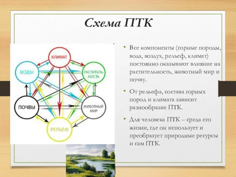 Схема ПТК Все компоненты (горные породы, вода, воздух, рельеф, климат) постоянно оказывают