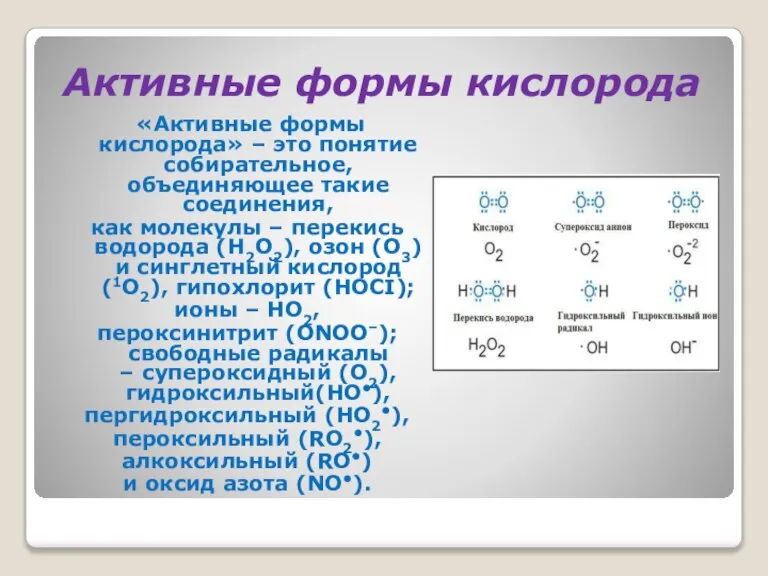 Активные формы кислорода «Активные формы кислорода» – это понятие собирательное, объединяющее такие