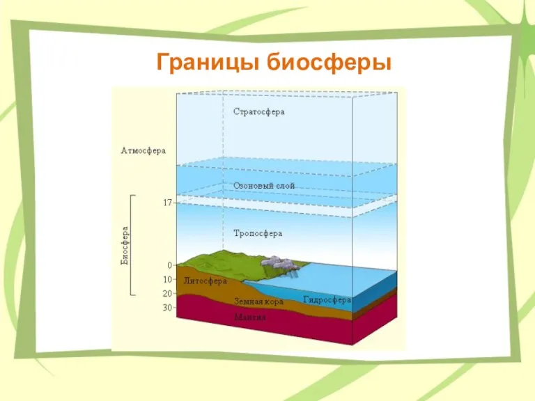 Границы биосферы