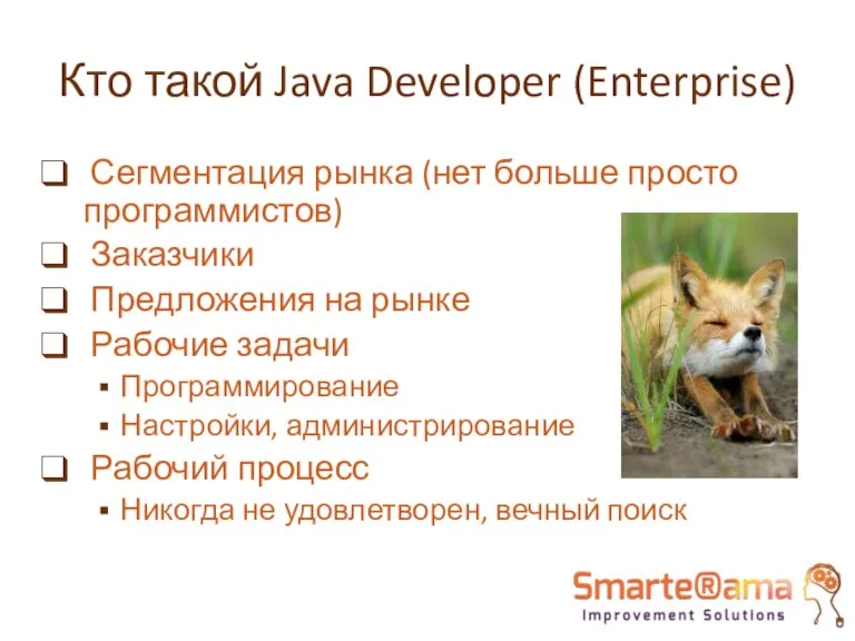 Кто такой Java Developer (Enterprise) Сегментация рынка (нет больше просто программистов) Заказчики