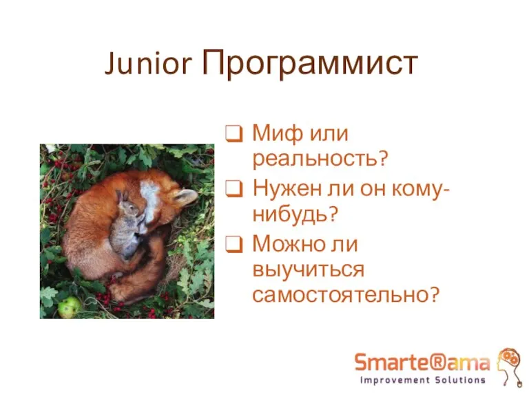 Junior Программист Миф или реальность? Нужен ли он кому-нибудь? Можно ли выучиться самостоятельно?