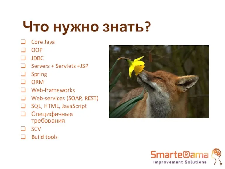 Что нужно знать? Core Java OOP JDBC Servers + Servlets +JSP Spring