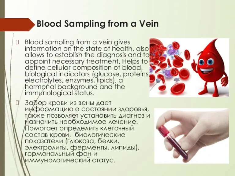 Blood Sampling from a Vein Blood sampling from a vein gives information