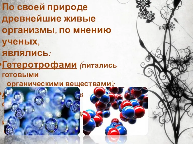 По своей природе древнейшие живые организмы, по мнению ученых, являлись: Гетеротрофами (питались