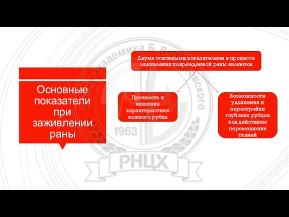 Основные показатели при заживлении раны Двумя основными показателями в процессе заживления поврежденной