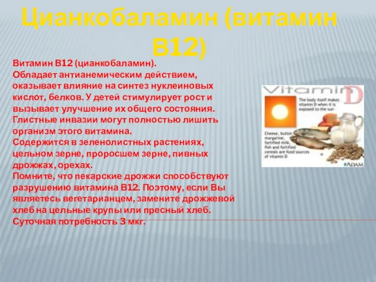 Витамин В12 (цианкобаламин). Обладает антианемическим действием, оказывает влияние на синтез нуклеиновых кислот,