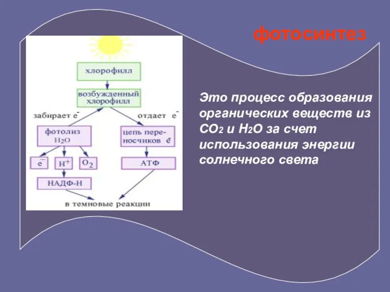 фотосинтез Это процесс образования органических веществ из СО2 и Н2О за счет использования энергии солнечного света
