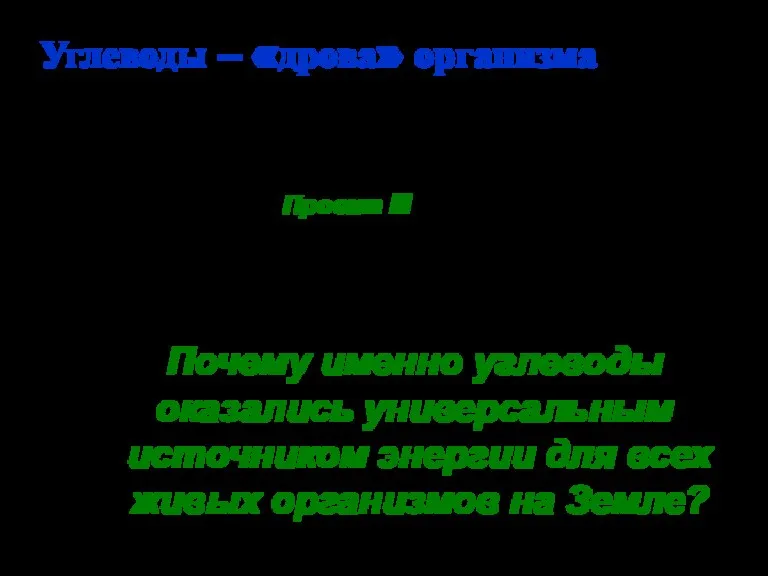 Углеводы – «дрова» организма Почему именно углеводы оказались универсальным источником энергии для