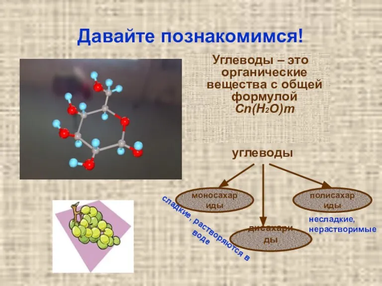 Давайте познакомимся! Углеводы – это органические вещества с общей формулой Сn(Н2О)m моносахариды