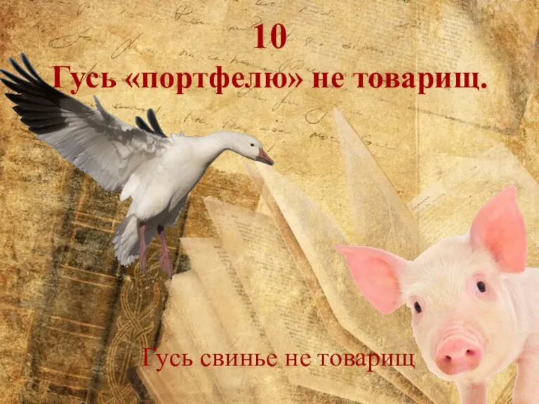 10 Гусь «портфелю» не товарищ. Гусь свинье не товарищ