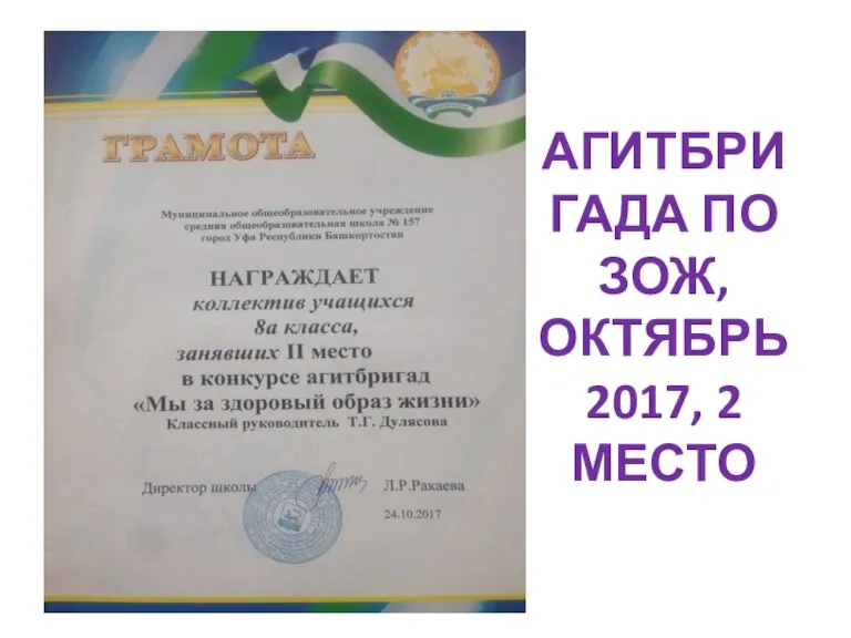 АГИТБРИГАДА ПО ЗОЖ, ОКТЯБРЬ 2017, 2 МЕСТО