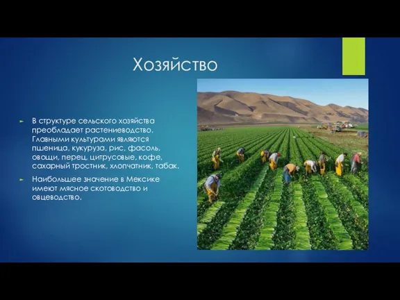 Хозяйство В структуре сельского хозяйства преобладает растениеводство. Главными культурами являются пшеница, кукуруза,
