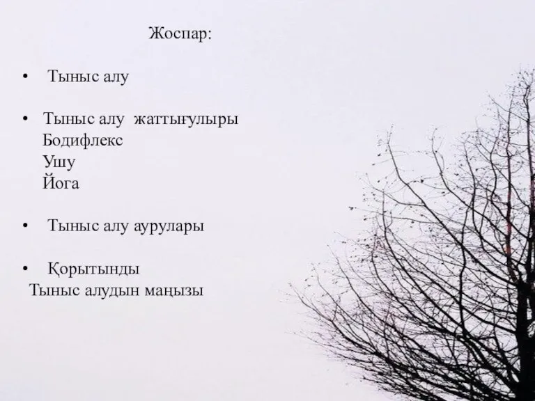 Жоспар: Тыныс алу Тыныс алу жаттығулыры Бодифлекс Ушу Йога Тыныс алу аурулары Қорытынды Тыныс алудын маңызы