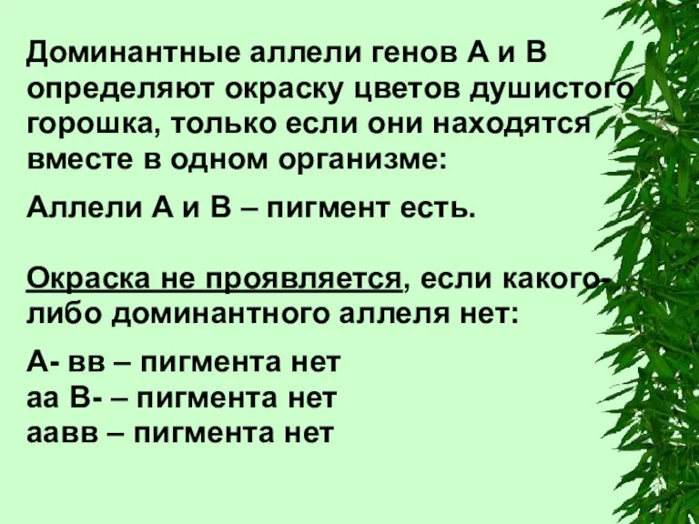 Доминантные аллели генов А и В определяют окраску цветов душистого горошка, только