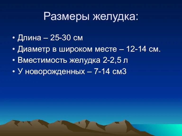 Размеры желудка: Длина – 25-30 см Диаметр в широком месте – 12-14